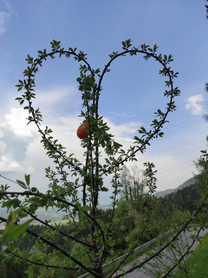 Smucarska Koca Bed & Breakfast Kotlje Exterior foto